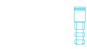 אנלוגים