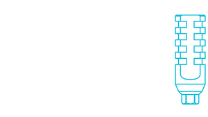 טרנספרים